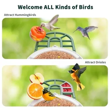Smart Bird Feeder with Camera and AI Identification