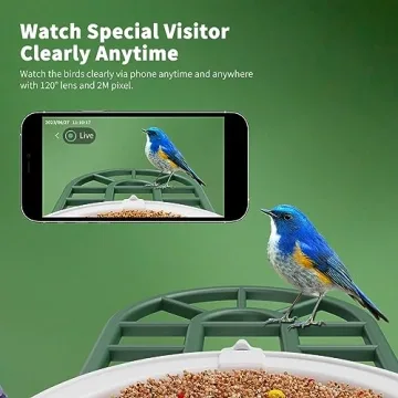 Smart Bird Feeder with Camera and AI Identification