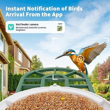 Smart Bird Feeder with Camera and AI Identification