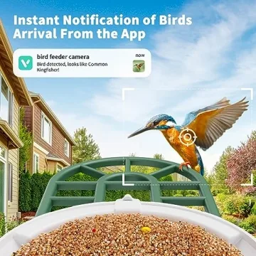 Smart Bird Feeder with Camera and AI Identification