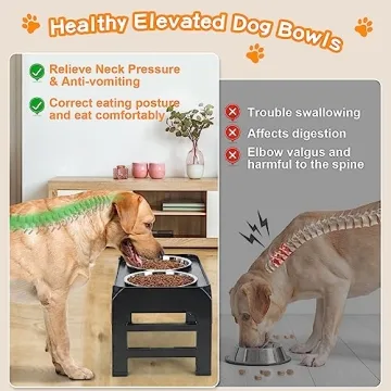 Elevated Dog Bowls with Adjustable Height and Stainless Steel