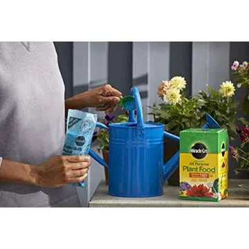 Miracle-Gro All Purpose Plant Food Plant Fertilizer (6 Pack), 3 lb