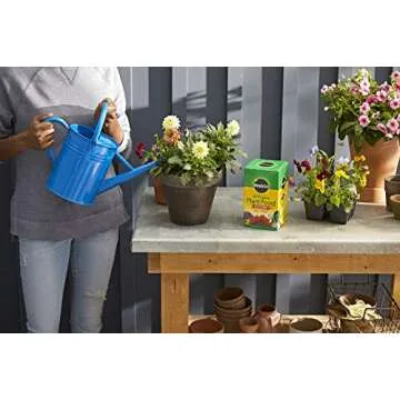 Miracle-Gro All Purpose Plant Food Plant Fertilizer (6 Pack), 3 lb