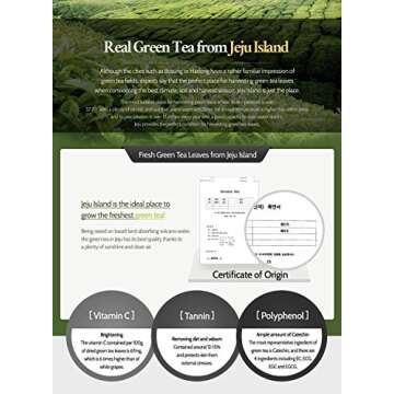 ISNTREE Green Tea Fresh Hydrating Face Toner with Hyaluronic Acid for Sensitive Oily Dry Acne Prone Skin | Deep Moisturizing Facial Moisturizer 6.76 fl. oz. with Cotton Pads | Korean Skin Care