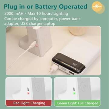 LuxLumin LED Double Head Desk Lamp with Large Lighting Range for Home Office,Portable Small Battery Operated Rechargeable Light for Kids,Reading,Studying,Dormitory,White