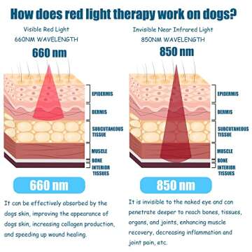 JOCUND Cold Laser Therapy for Dogs, Pain Relief Device