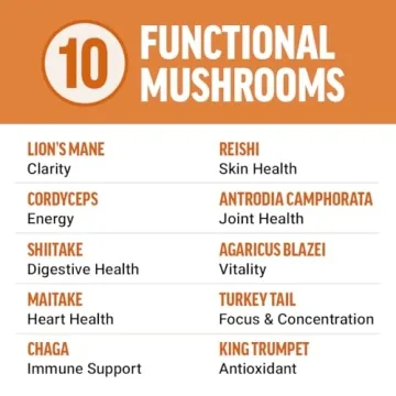 Enhance Focus & Energy with Modern Mushroom Capsules