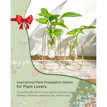 Ivolador Modern Tabletop Plant Terrariums with 2 Test Tube in Metal Frame Perfect for Propagating Hydroponic Plants Home Garden Wedding Decoration (Golden)