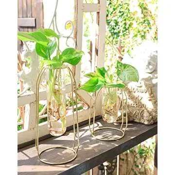 Ivolador Modern Tabletop Plant Terrariums with 2 Test Tube in Metal Frame Perfect for Propagating Hydroponic Plants Home Garden Wedding Decoration (Golden)