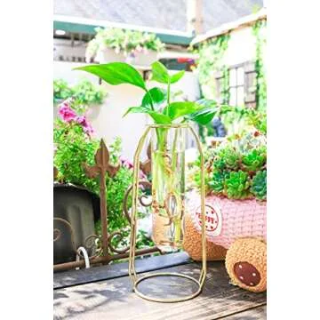 Ivolador Modern Tabletop Plant Terrariums with 2 Test Tube in Metal Frame Perfect for Propagating Hydroponic Plants Home Garden Wedding Decoration (Golden)