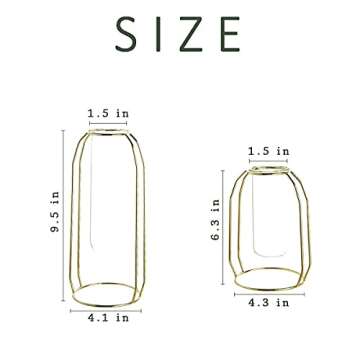 Ivolador Modern Tabletop Plant Terrariums with 2 Test Tube in Metal Frame Perfect for Propagating Hydroponic Plants Home Garden Wedding Decoration (Golden)