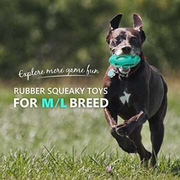 EASTBLUE Squeaky Dog Toys for Aggressive Chewers: Rubber Interactive Puppy Ball with Squeaker,Almost...