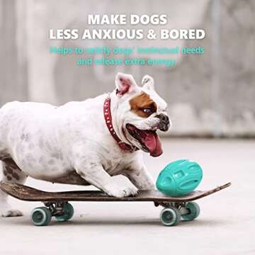 Durable Squeaky Dog Toys for Aggressive Chewers