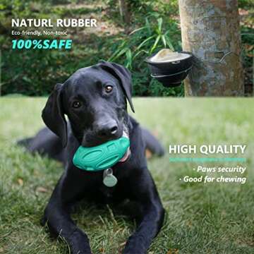 Durable Squeaky Dog Toys for Aggressive Chewers
