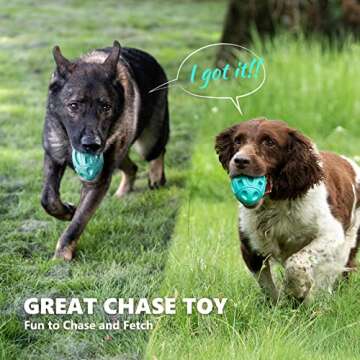 Durable Squeaky Dog Toys for Aggressive Chewers