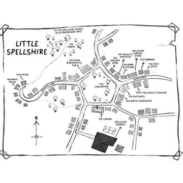 New Girl (Diary of an Accidental Witch)