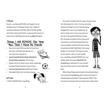 New Girl (Diary of an Accidental Witch)