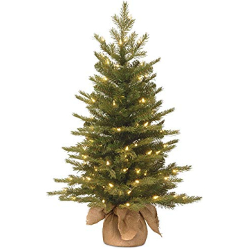 3ft Pre-Lit Nordic Spruce Mini Christmas Tree White Lights