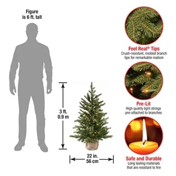 3ft Pre-Lit Nordic Spruce Mini Christmas Tree White Lights