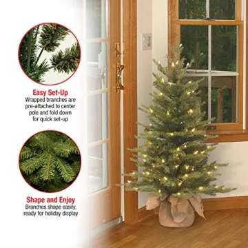 3ft Pre-Lit Nordic Spruce Mini Christmas Tree White Lights