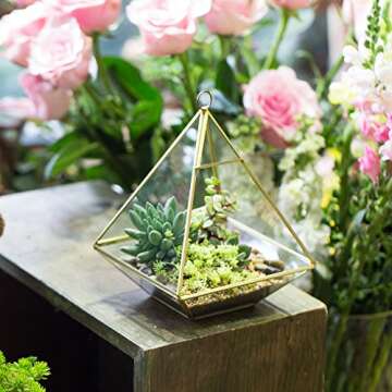 NCYP Small Geometric Glass Open Terrarium for Succulent, Air Plants - 5.9 x 5.9 x 7.87 Inches, Wall ...