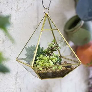 Elegant NCYP Small Geometric Glass Terrarium for Succulents