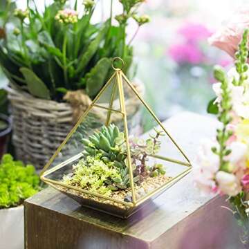 Elegant NCYP Small Geometric Glass Terrarium for Succulents