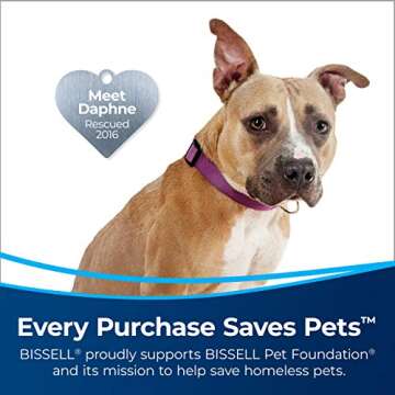Bissell ICONpet Edge Cordless Vacuum, 2894A