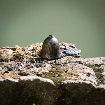 A.F.N.A.L Japanese Wind Chime for Home & Garden Decoration