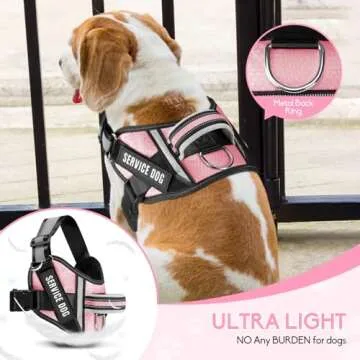 Service Dog Vest Harness and Leash Set, Animire in Training Dog Harness with 10 Dog Patches, Reflective Dog Leash with Soft Padded Handle for Small, Medium, Large, and Extra-Large Dogs (Pink,XS)