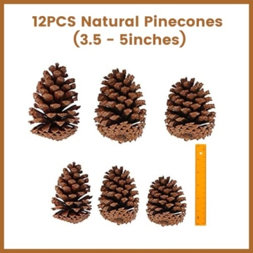 JOHOUSE Natural Pine Cones for Seasonal Decor and Crafts