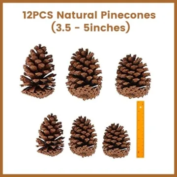 JOHOUSE Natural Pine Cones for Seasonal Decor and Crafts