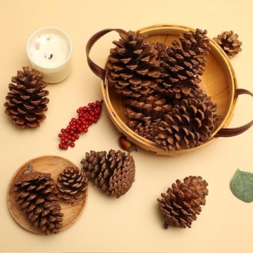 JOHOUSE Natural Pine Cones for Seasonal Decor and Crafts