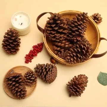 JOHOUSE Natural Pine Cones for Seasonal Decor and Crafts