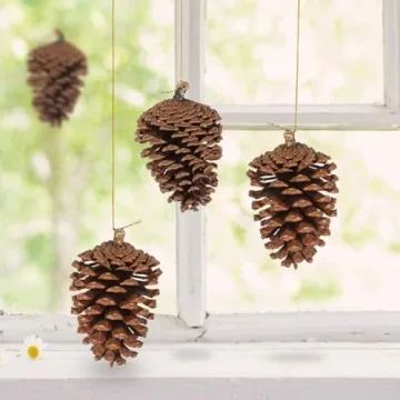 JOHOUSE Natural Pine Cones for Seasonal Decor and Crafts