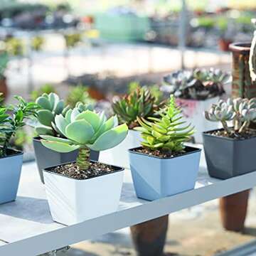 T4U 4 Inch Self Watering Plastic Planter with Liner Pack of 6 - Matte White, Modern Decorative Small Planter Pot for House Plants, Aloe, Herbs, African Violets, Succulents and More