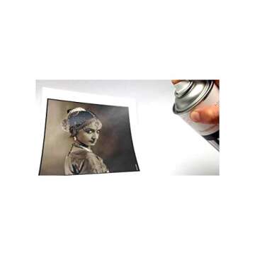 Hahnemuhle Protective Spray for Fine Art Digital Prints, Pack of Two 14 oz. Cans