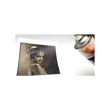 Hahnemuhle Protective Spray for Fine Art Digital Prints, Pack of Two 14 oz. Cans