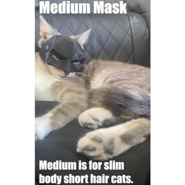 Medium Cat Bat Cosplay Hat - Perfect for Any Costume