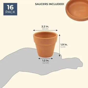 Juvale 2-Inch 16-Pack Small Terracotta Pots with Saucers and Drainage Hole, Paintable Pottery for Succulents, Plants, Flowers, Cactus, Garden Nursery, and Wedding Decor