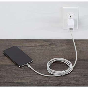 Amazon Basics Double Braided Nylon Lightning to USB Cable, Advanced Collection, MFi Certified Apple iPhone Charger, Silver, 6 Foot