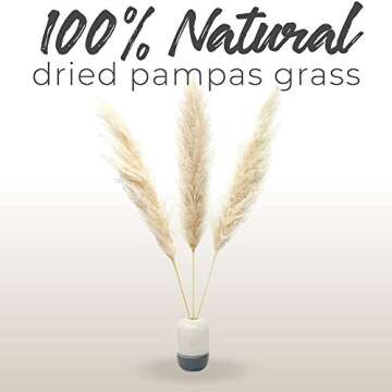 Natural Dried Beige Pampas Grass Decor - From Winding Trail Supply. 3 Stems (48 Inches Tall) - Premium Tall Stem Faux Pampas Grass Large for Wedding Arrangements, Home and Boho Flower Decor