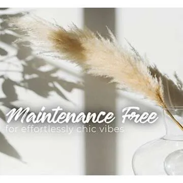 Natural Dried Beige Pampas Grass Decor for Home & Weddings