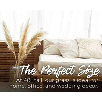 Natural Dried Beige Pampas Grass Decor for Home & Weddings