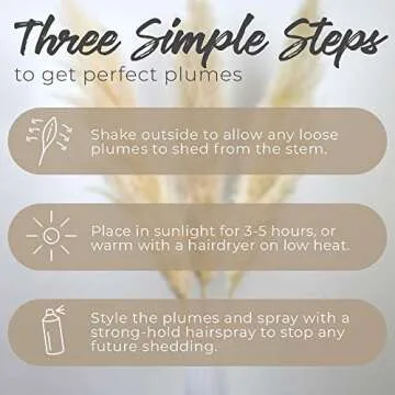 Natural Dried Beige Pampas Grass Decor for Home & Weddings