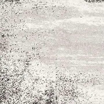 SAFAVIEH Adirondack Collection Area Rug - 8' x 10', Silver & Multi, Modern Abstract Design, Non-Shedding & Easy Care, Ideal for High Traffic Areas in Living Room, Bedroom (ADR112G)