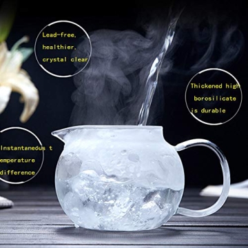 Elegant Glass Teapot Kettle for All Tea Lovers - 1L