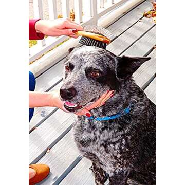 AtEase Accents Double Sided Dog Brush - for Long or Short Haired Dogs and Cats Natural Bamboo Eco Fr...