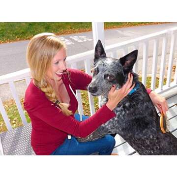 AtEase Accents Double Sided Dog Brush - for Long or Short Haired Dogs and Cats Natural Bamboo Eco Friendly Pet Grooming Dual Sided Pin and Bristles for Deshedding Hair