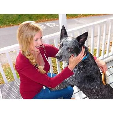 Eco-Friendly Double Sided Pet Grooming Brush for Dogs and Cats